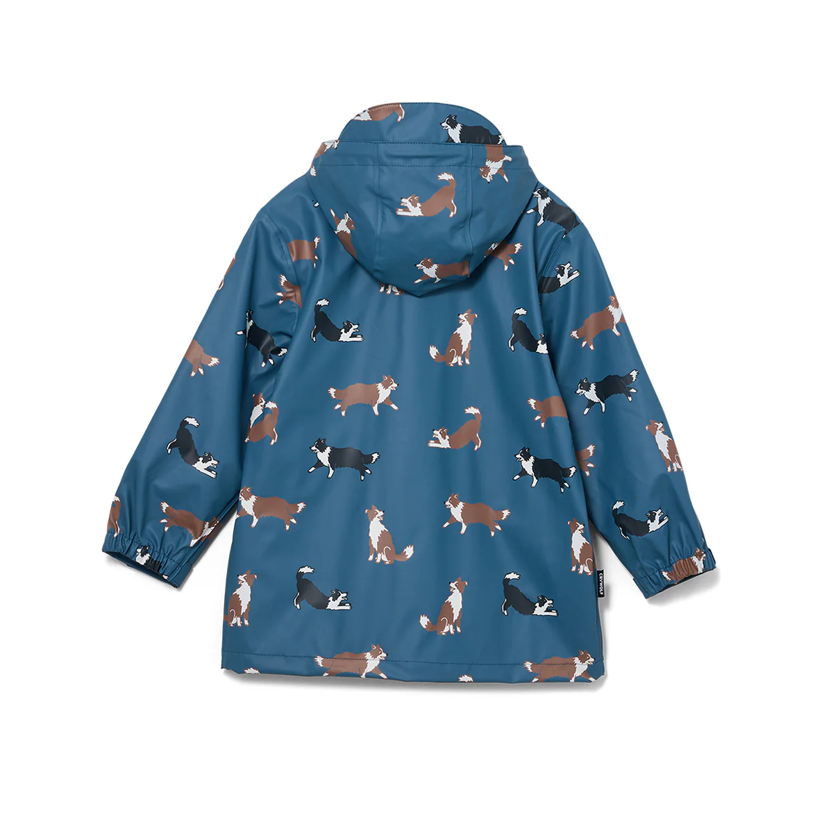 PLAY JACKET Collies - Image 3