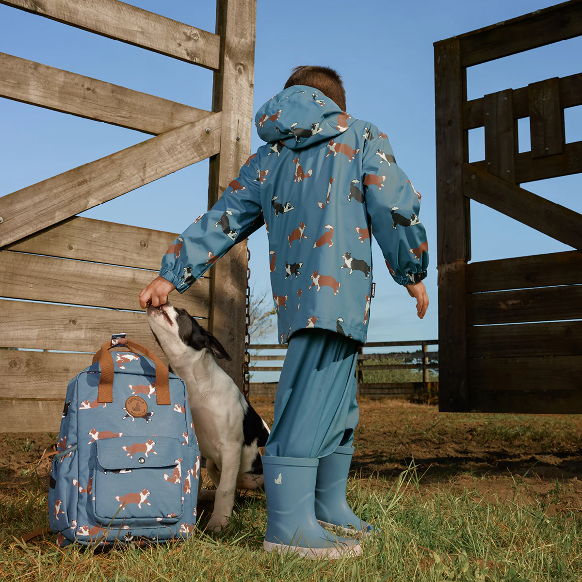 PLAY JACKET Collies - Image 4