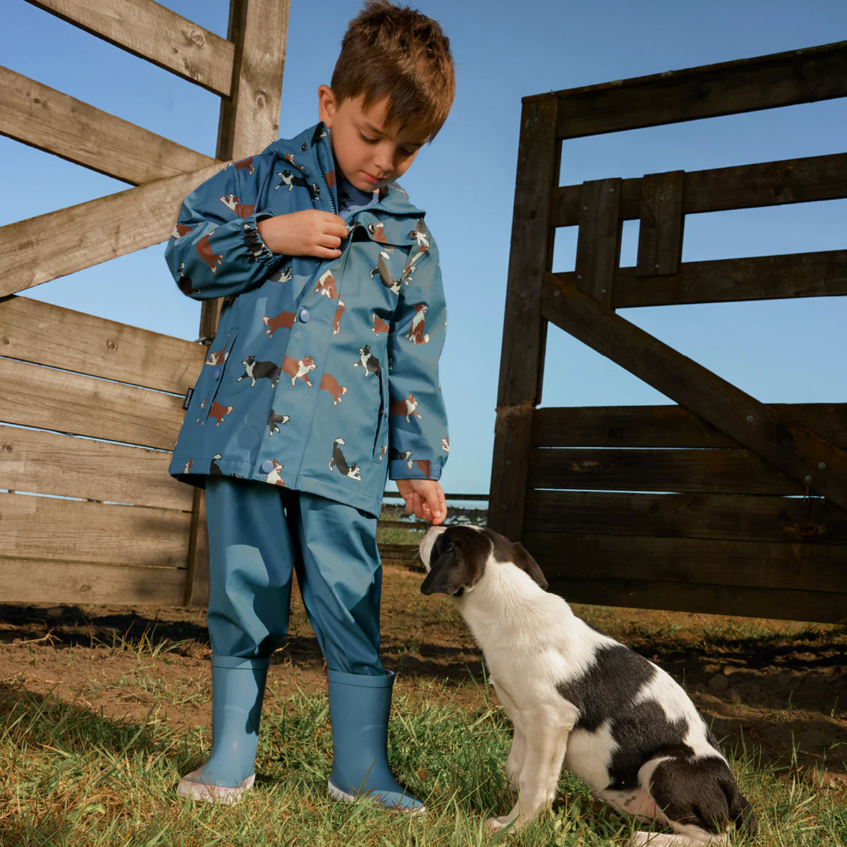 PLAY JACKET Collies - Image 5