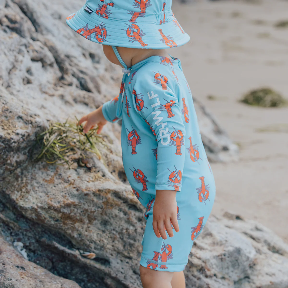 BABY RASH SUIT Little Lobsters - Image 4
