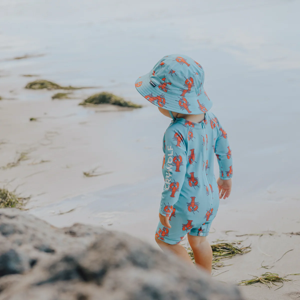 BABY RASH SUIT Little Lobsters - Image 7